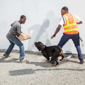 protechtion k9